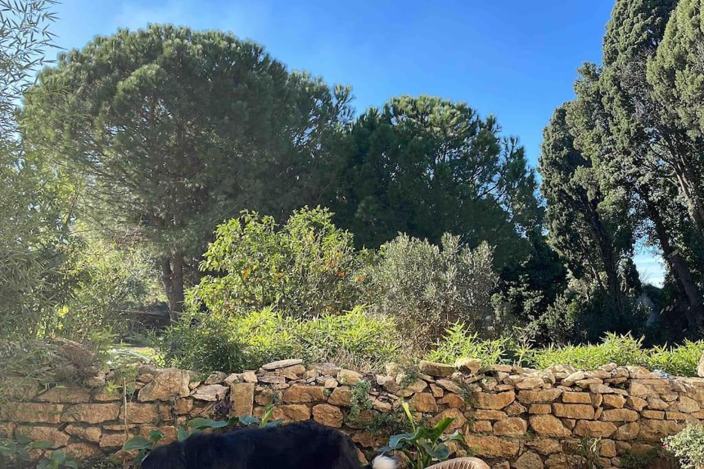 Gite Mas Provencal Tarascon Extérieur photo