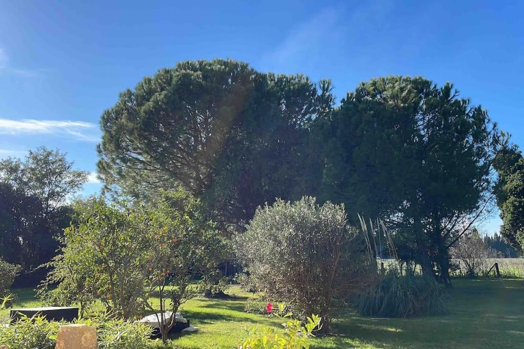 Gite Mas Provencal Tarascon Extérieur photo